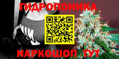 стаф Будённовск