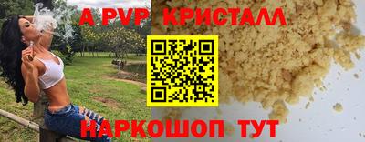 стаф Будённовск