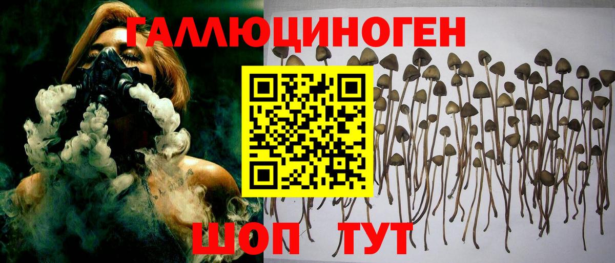 Галлюциногенные грибы Magic Shrooms  Вход с VPN  Ревда  Галлюциногенные грибы Psilocybine cubensis 