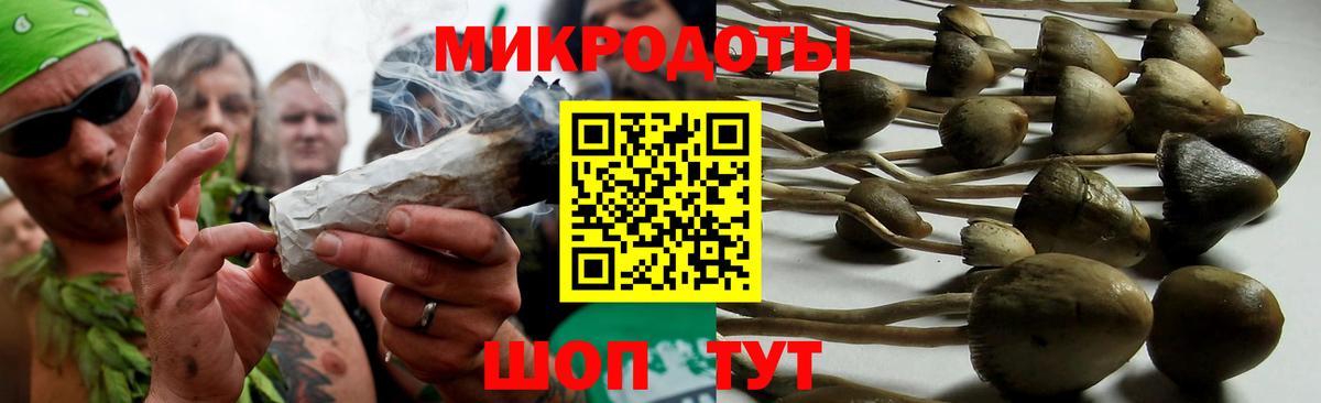 Псилоцибиновые грибы ЛСД Ревда